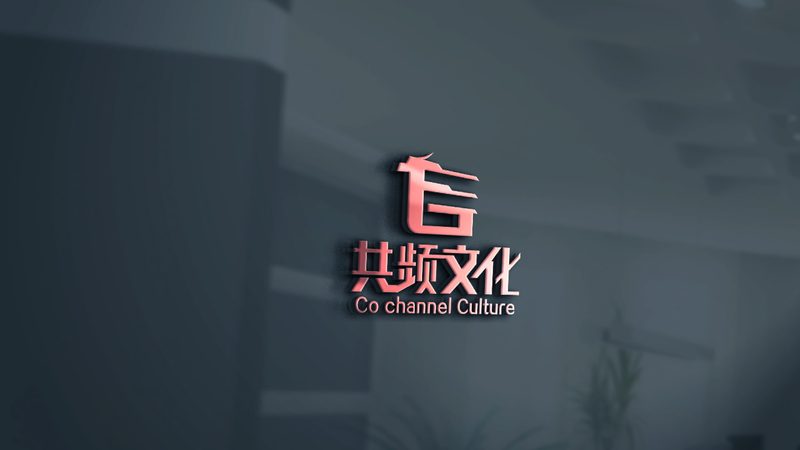 纪录片拍摄团队：如何挑选专业合作伙伴**